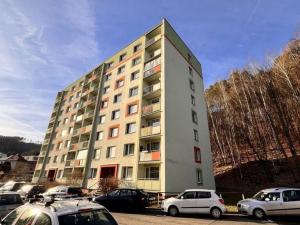 Prodej bytu 2+1, Děčín - Děčín IX-Bynov, Na Pěšině, 63 m2