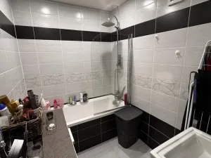 Prodej bytu 3+1, Děčín - Děčín I-Děčín, Kaštanová, 74 m2