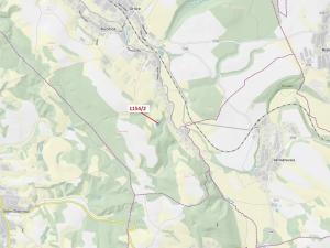 Dražba lesa, Letohrad, 3699 m2