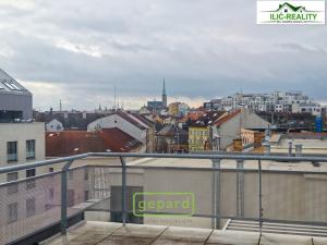 Pronájem bytu 3+kk, Plzeň, Na Roudné, 100 m2