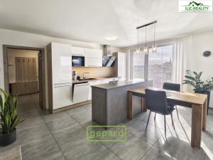 Pronájem bytu 3+kk, Plzeň, Na Roudné, 100 m2