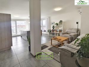 Pronájem bytu 3+kk, Plzeň, Na Roudné, 100 m2