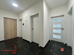 Pronájem bytu 2+kk, Plzeň - Jižní Předměstí, Železná, 75 m2