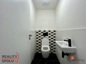 Pronájem bytu 2+kk, Plzeň - Jižní Předměstí, Železná, 75 m2