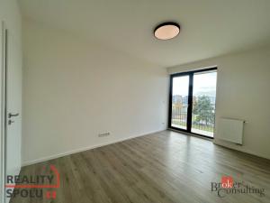 Pronájem bytu 2+kk, Plzeň - Jižní Předměstí, Železná, 75 m2