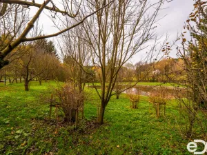 Prodej pozemku pro bydlení, Petrovice II - Staré Nespeřice, 1781 m2