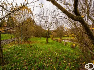 Prodej pozemku pro bydlení, Petrovice II - Staré Nespeřice, 1781 m2