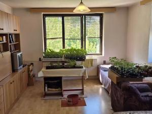 Prodej vícegeneračního domu, Česká Lípa, U Šporky, 358 m2