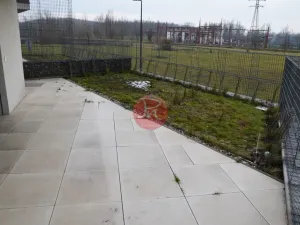 Pronájem bytu 2+kk, Ostrava, F. X. Riepla, 53 m2