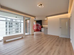 Pronájem bytu 2+kk, Ostrava, F. X. Riepla, 54 m2