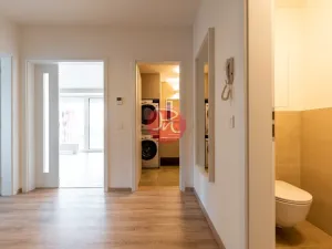 Pronájem bytu 2+kk, Ostrava, F. X. Riepla, 54 m2