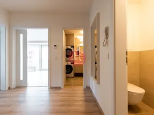 Pronájem bytu 2+kk, Ostrava, F. X. Riepla, 54 m2