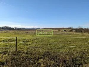 Prodej pozemku pro bydlení, Svinaře, 7542 m2