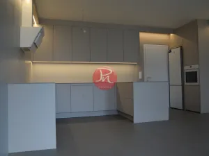 Pronájem bytu 2+kk, Ostrava, F. X. Riepla, 60 m2