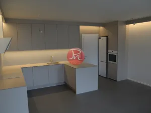 Pronájem bytu 2+kk, Ostrava, F. X. Riepla, 60 m2