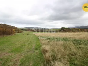 Prodej louky, Hostašovice, 2457 m2