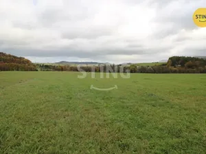 Prodej louky, Hostašovice, 2457 m2