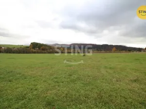 Prodej louky, Hostašovice, 2457 m2