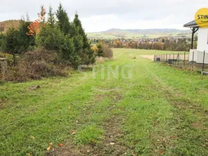 Prodej louky, Hostašovice, 2457 m2