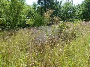 Prodej rodinného domu, Libina - Obědné, 160 m2