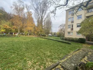 Prodej bytu 2+1, Praha - Střešovice, Na Petynce, 62 m2