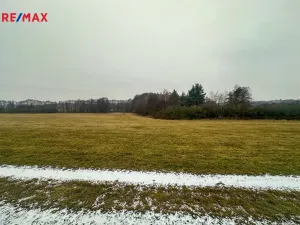 Prodej pole, Radětice, 30733 m2