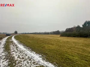 Prodej pole, Radětice, 30733 m2