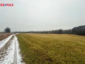 Prodej pole, Radětice, 30733 m2