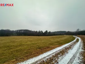 Prodej pole, Radětice, 30733 m2