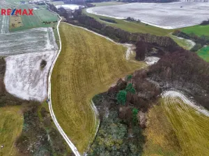 Prodej pole, Radětice, 30733 m2