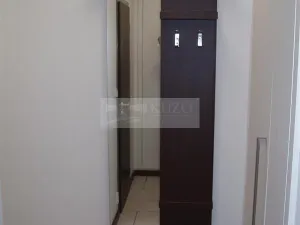 Pronájem bytu 1+1, Chomutov, Haškova, 30 m2