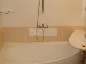 Pronájem bytu 1+1, Chomutov, Haškova, 30 m2