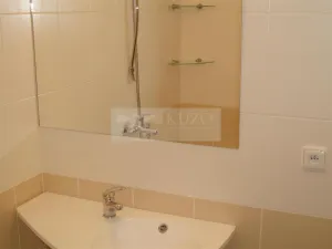 Pronájem bytu 1+1, Chomutov, Haškova, 30 m2