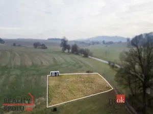 Prodej pozemku pro bydlení, Rybná nad Zdobnicí, 1000 m2