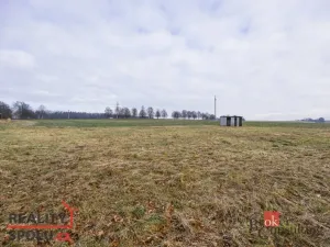 Prodej pozemku pro bydlení, Rybná nad Zdobnicí, 1000 m2