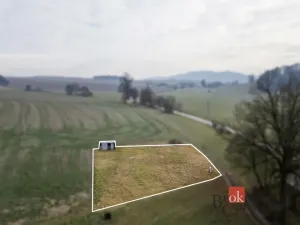 Prodej pozemku pro bydlení, Rybná nad Zdobnicí, 1000 m2