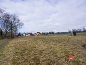 Prodej pozemku pro bydlení, Rybná nad Zdobnicí, 1000 m2