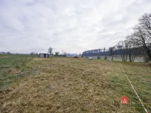 Prodej pozemku pro bydlení, Rybná nad Zdobnicí, 1000 m2