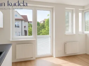 Pronájem bytu 1+kk, Brno, Trávníky, 21 m2