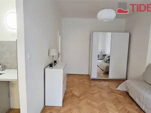 Prodej bytu 1+kk, Praha - Břevnov, Nad Kajetánkou, 25 m2