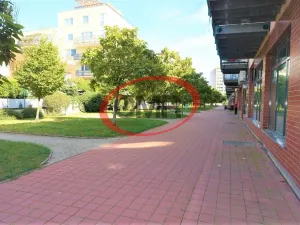 Pronájem bytu 2+kk, Praha - Hlubočepy, 81 m2