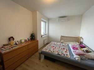 Pronájem bytu 2+1, Brno, Stará, 48 m2