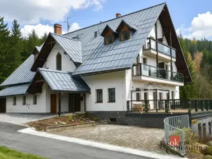 Prodej bytu 1+1, Rokytnice nad Jizerou - Rokytno, 28 m2