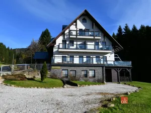 Prodej bytu 1+1, Rokytnice nad Jizerou - Rokytno, 28 m2