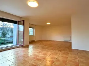 Pronájem rodinného domu, Kyšice, V. Vlčka, 222 m2