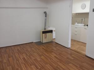 Pronájem bytu 1+1, Olomouc, Smetanova, 45 m2