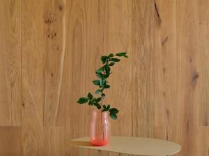 Pronájem bytu 3+kk, Ždírec nad Doubravou, Průmyslová, 77 m2