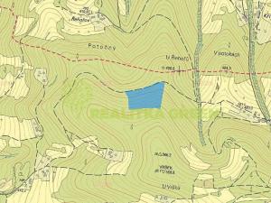 Prodej lesa, Růžďka, 21209 m2