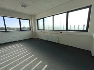 Pronájem skladu, Příšovice, 4858 m2