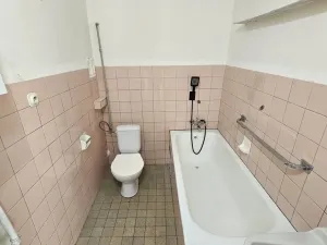 Prodej bytu 1+1, Plzeň - Lobzy, Nad Úslavou, 39 m2